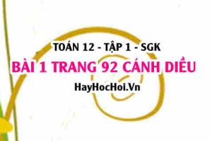 Bài 1 trang 92 Toán 12 tập 1 Cánh Diều